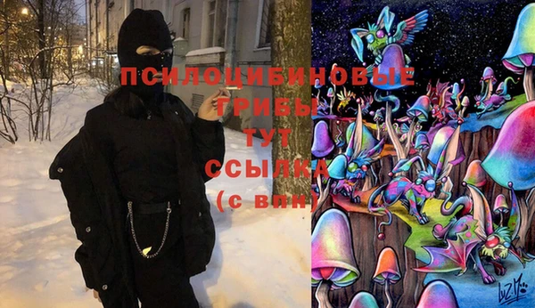 первитин Ладушкин