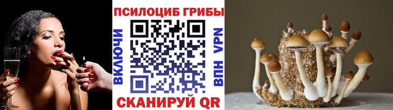 как найти   Электроугли  Псилоцибиновые грибы мухоморы 